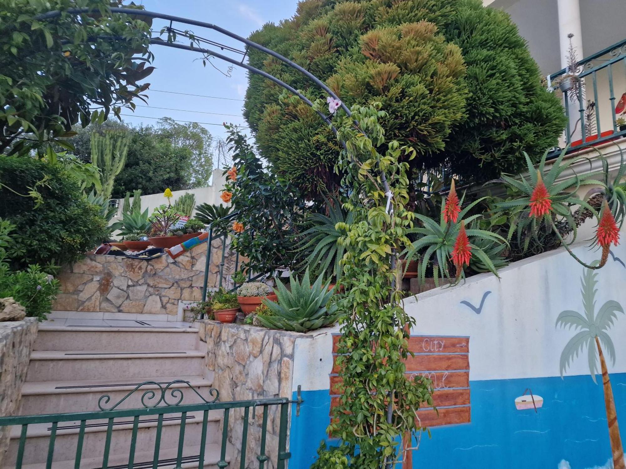 Casa Da Avo Bela Apartment Buarcos Exterior photo